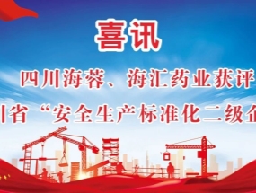 海蓉、海匯藥業(yè)獲評“安全生產(chǎn)標準化二級企業(yè)”