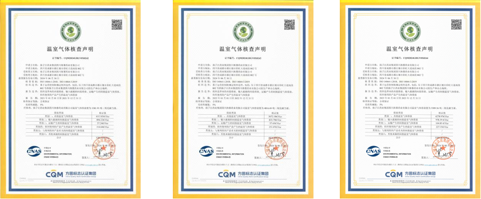 揚(yáng)子江藥業(yè)集團(tuán)四川海蓉藥業(yè)有限公司2021年-2024年碳排放核查數(shù)據(jù)公示